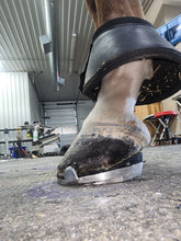 Load image into Gallery viewer, NPA Pad, pair