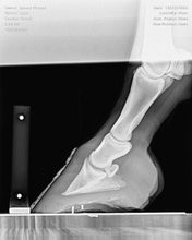 Load image into Gallery viewer, RadMark - radiopaque marking paste